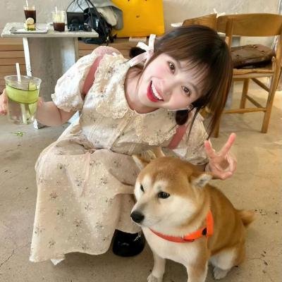 野·良犬粤语